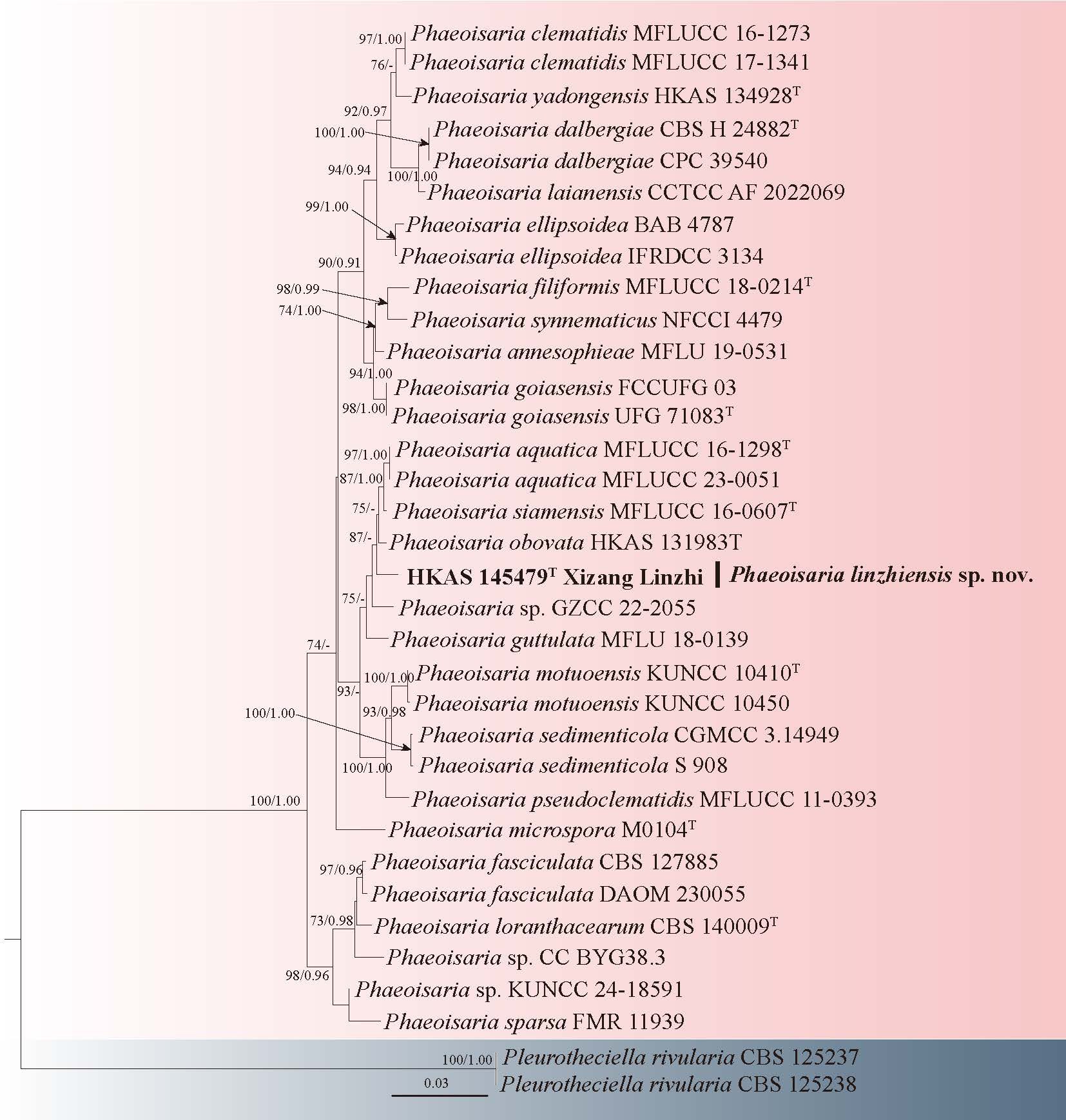 Figure 93